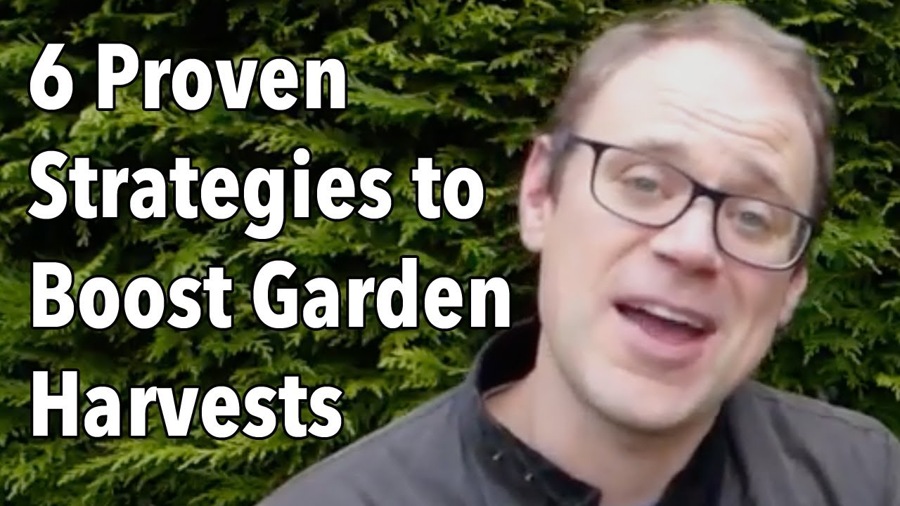 High Yields: 6 Proven Strategies to Boost Garden Harvests