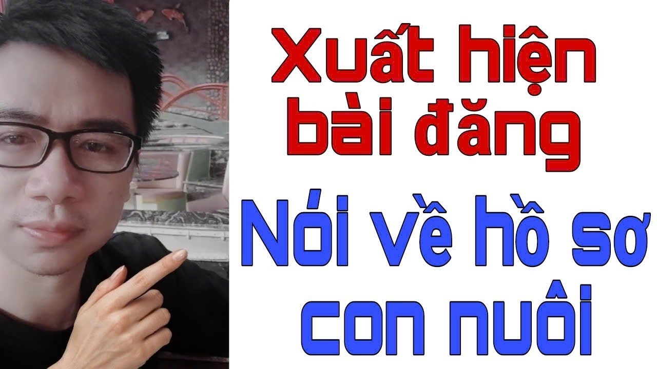 XUẤT HIỆN BÀI VIẾT đáng CHÚ Ý nói về HỒ SƠ CON NUÔI. Triển Ca Vlog