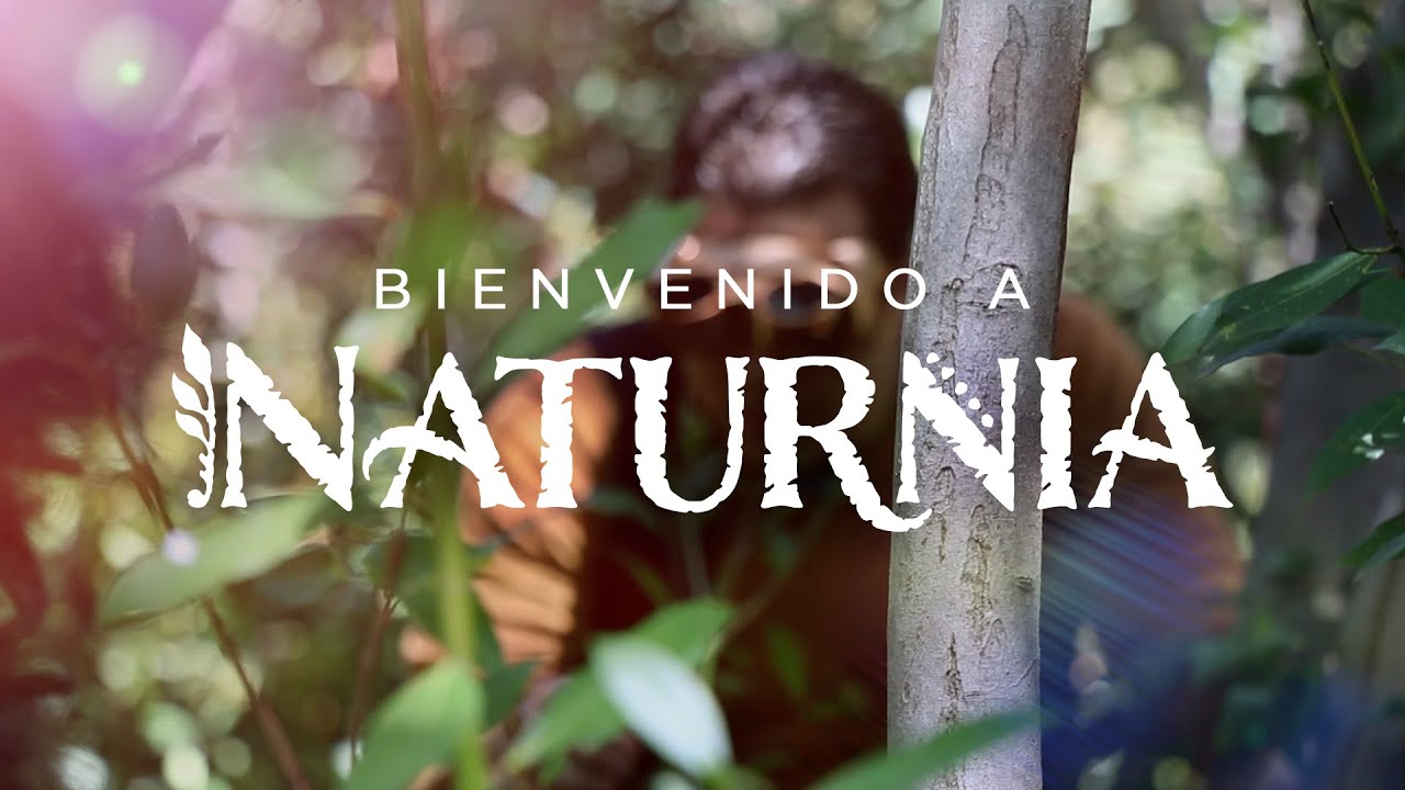 Bienvenido a Naturnia