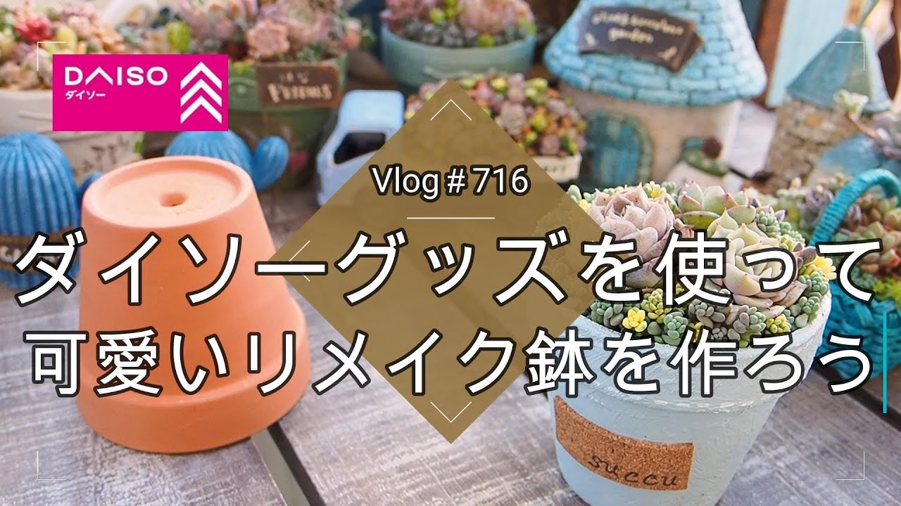 【Vlog716】【多肉植物】ダイソーグッズを使って可愛いリメイク鉢を作ろう【モルタルコンクリート風ペイント】【ダイソー鉢シリーズ②リメ鉢作り】