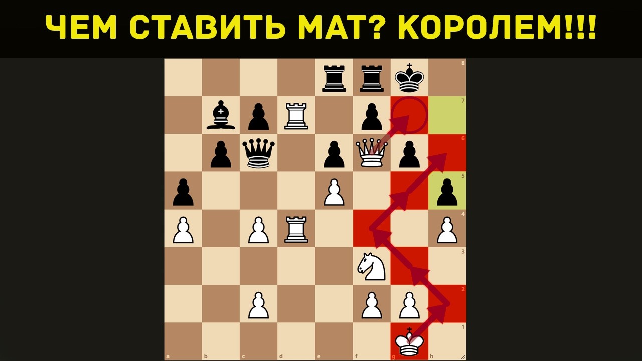 Король ПОШЁЛ ставить мат в середине партии!?