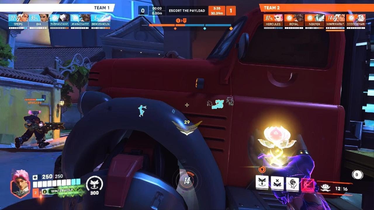Lifeweaver Visits Dorado