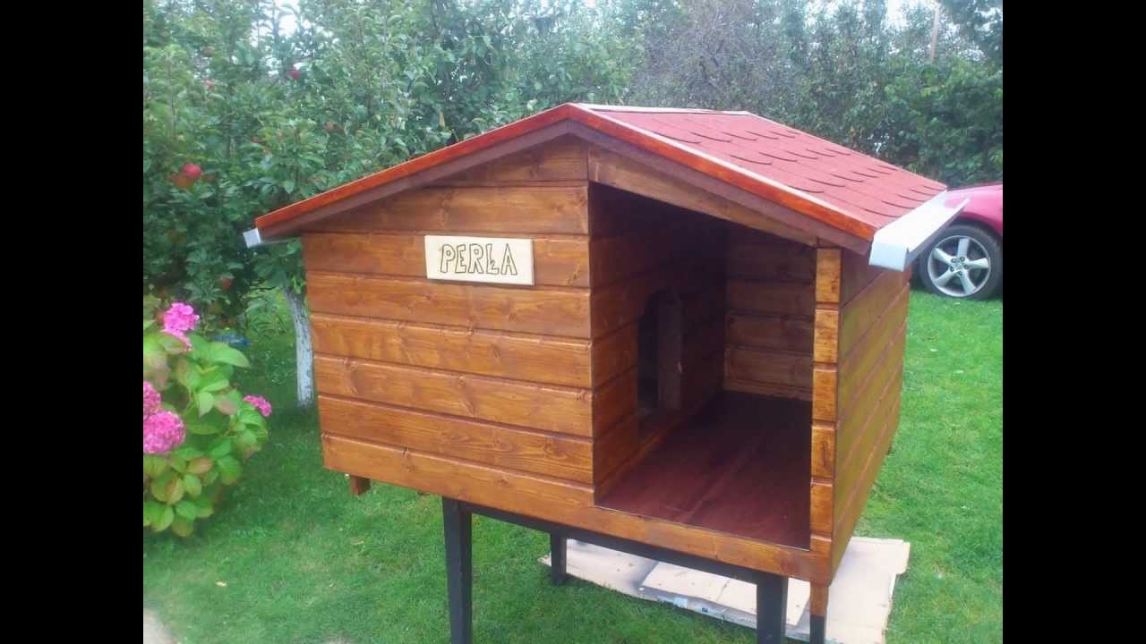 Buda dla psa- budowa krok po kroku