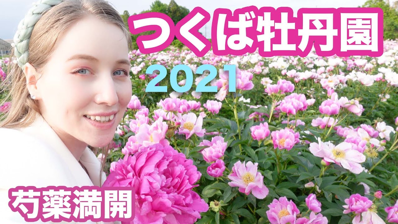 【お花大好き】つくば牡丹園で池に浮かぶ芍薬を見に行きました！抹茶＆和菓子も！