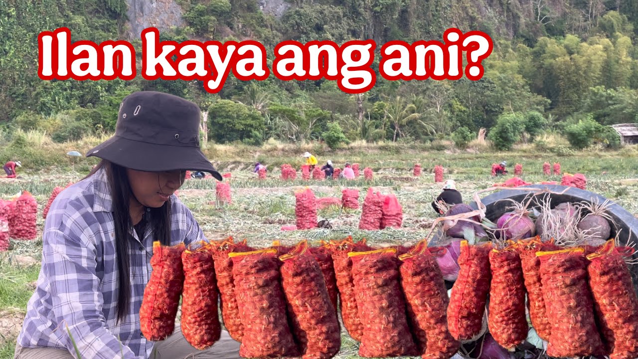 Overtime sa Sibuyasan | buhayprobinsya vlog