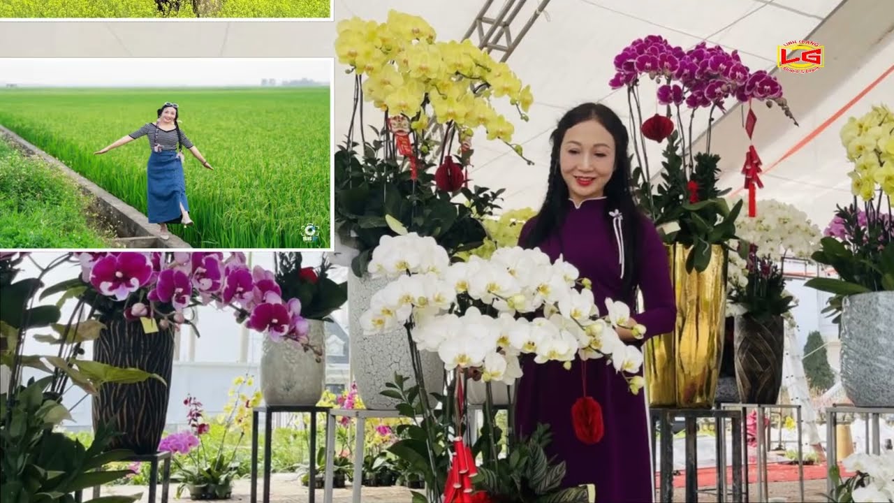Tình ca mùa xuân-Phương Thảo Official