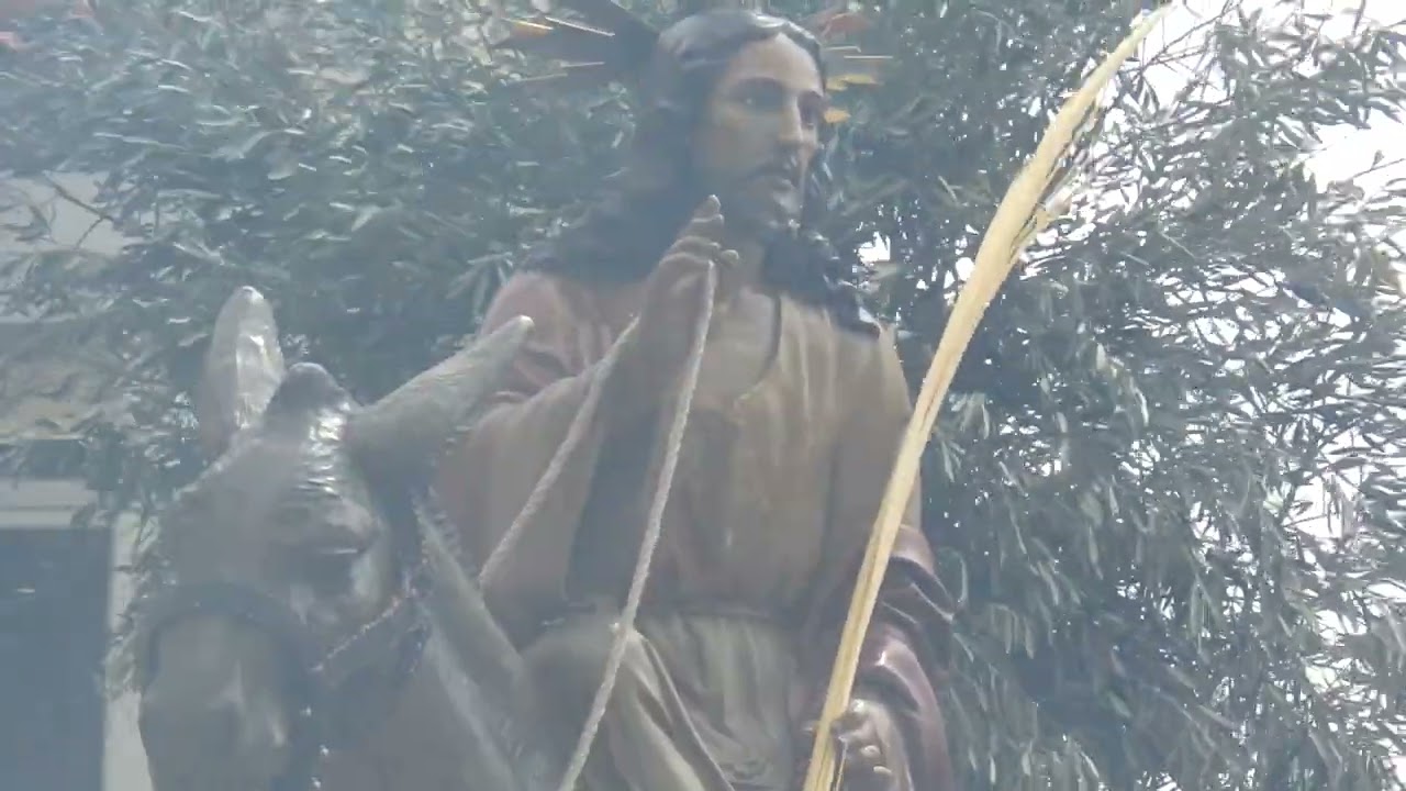 2025 04 13_Domingo de Ramos