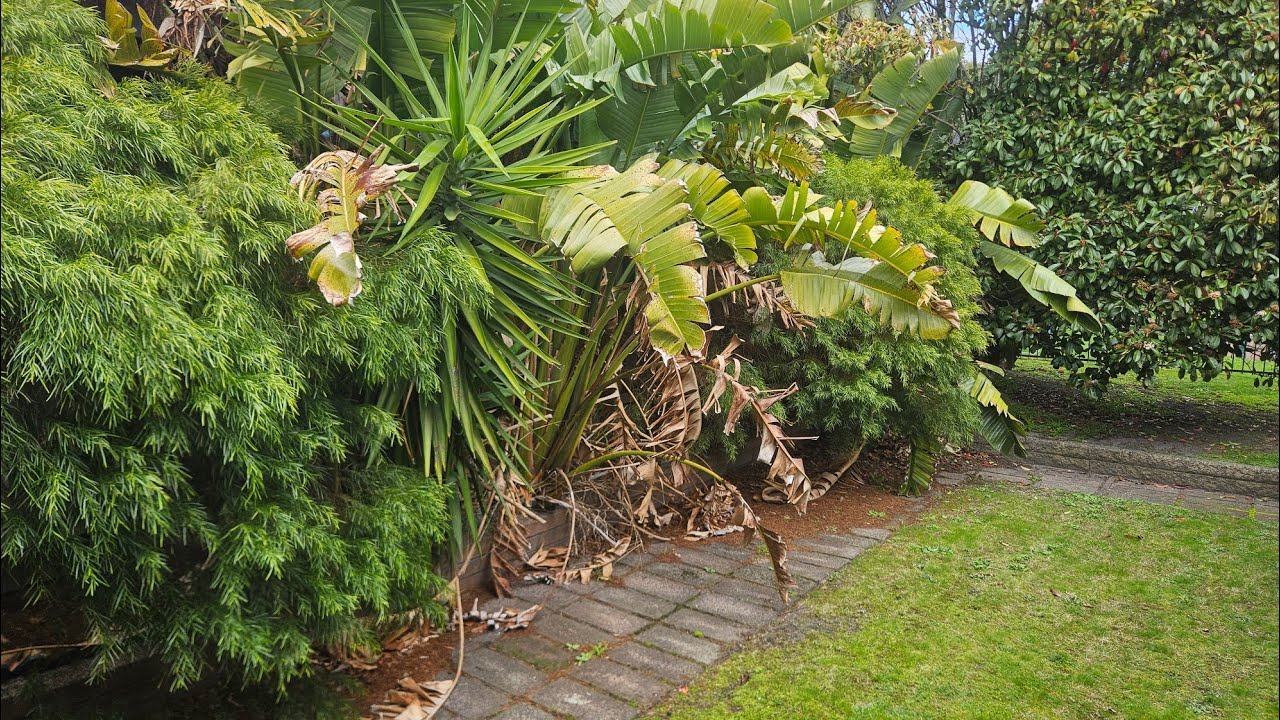 She passed away, so I offered to help RESTORE the GARDEN