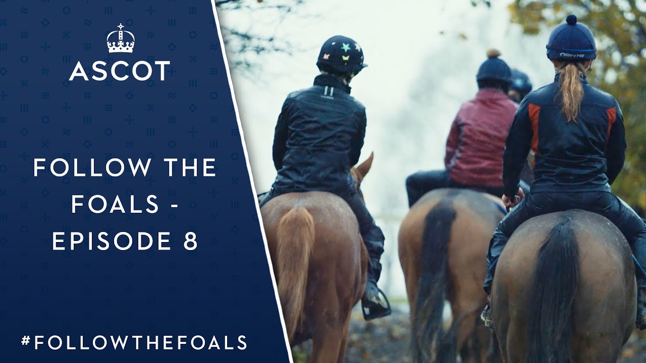 Follow The Foals - Episode 8
