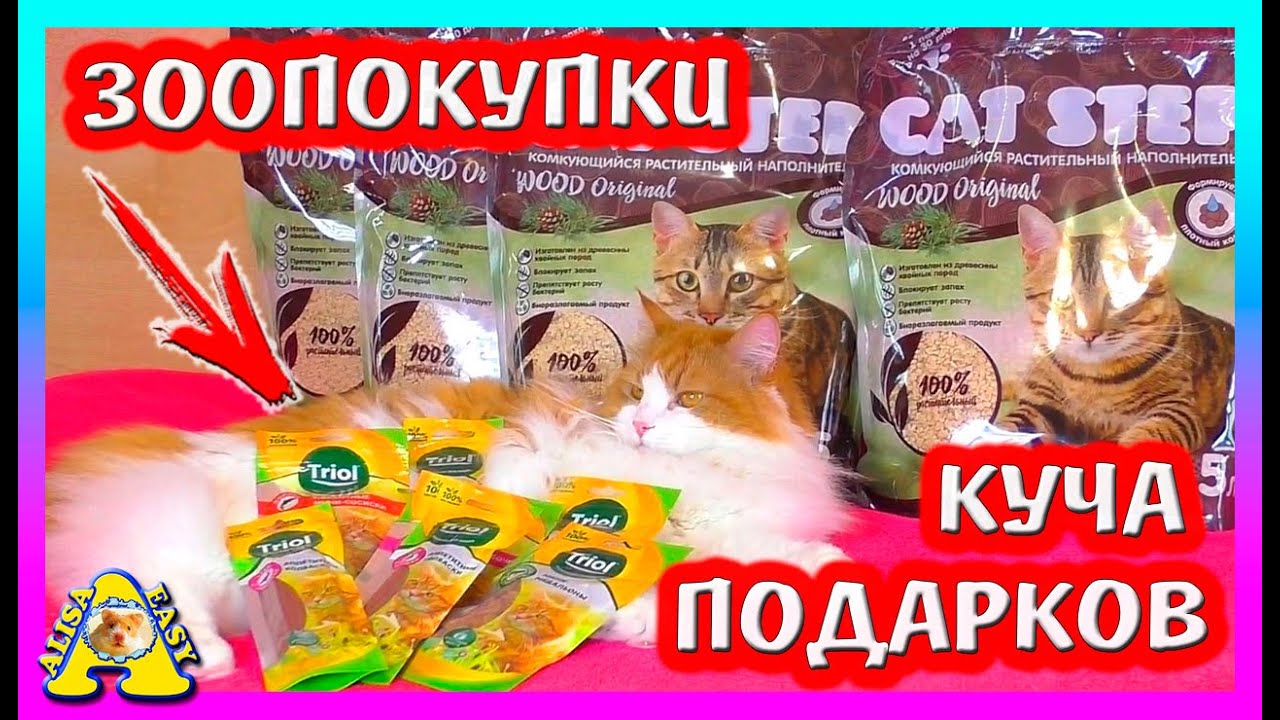 ЗООПОКУПКИ / ЗООПОДАРКИ / КОНКУРС ДЛЯ ПОДПИСЧИКОВ от Cat Step и Alisa Easy Petc