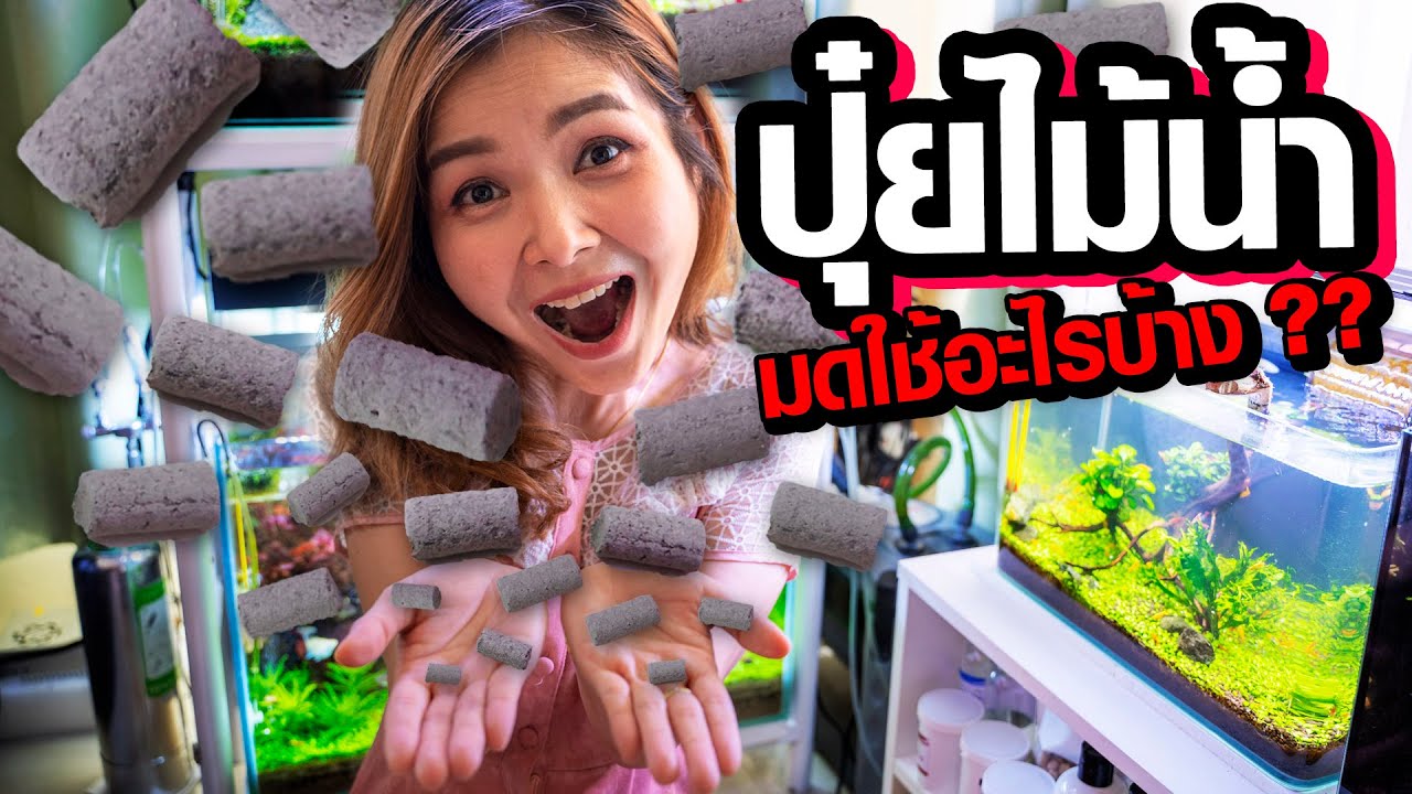 ปุ๋ยสำหรับไม้น้ำ ยี่ห้อ Nature Life มดใช้อะไรบ้าง? | มาแรงมด MarangMod Channel