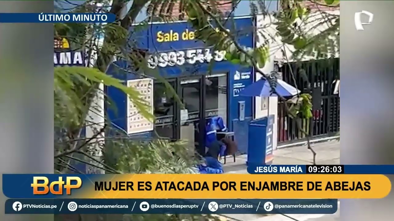 Mujer es atacada por enjambre de abejas en Jesús María mientras repartía volantes
