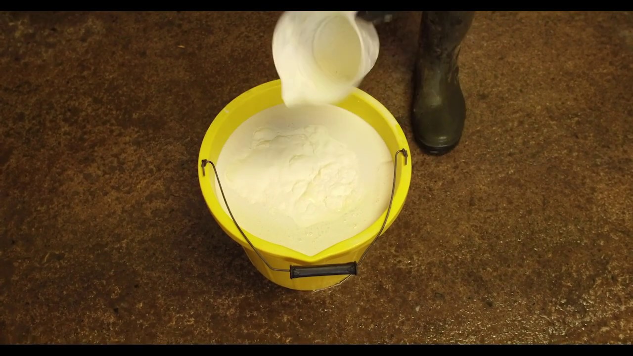 Shine once a day milk replacer