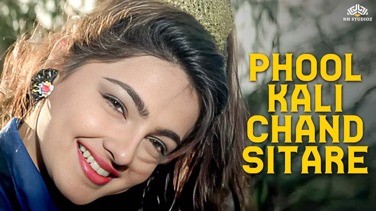 Chahoge Aise Tum Mujhko Kab Tak l Udit Narayan l Sadhana Sargam l Krantiveer l Mamta Kulkarni