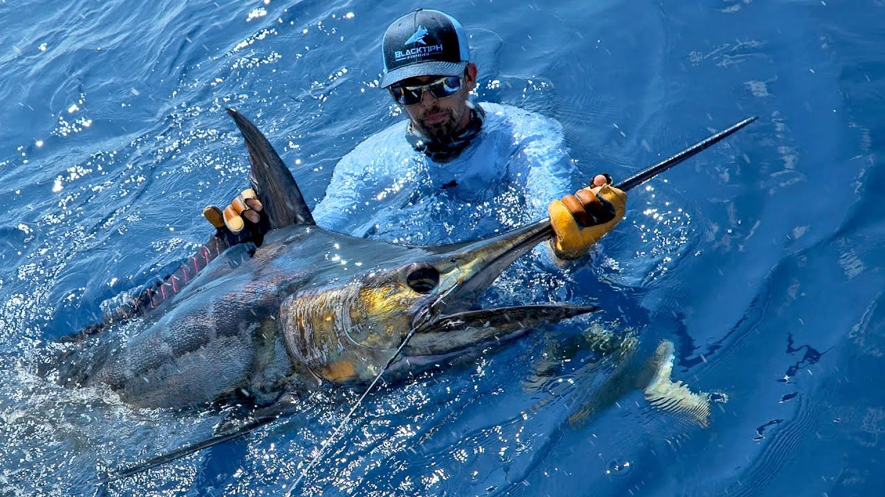 Food Chain Fishing Challenge 3 - Flying Fish to Blue Marlin