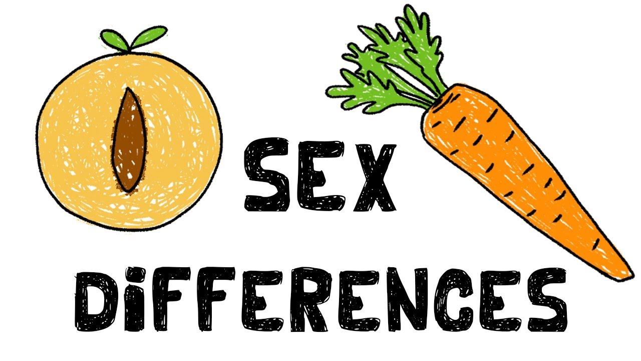 Are there Personality Differences between Sexes?