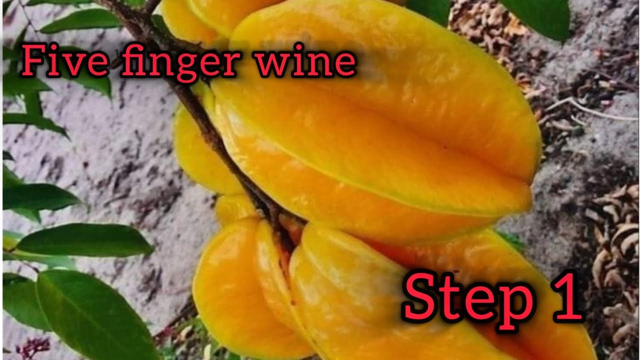 I'm using five fingers to make homemade wine . #homemadewine #caribbean #trini