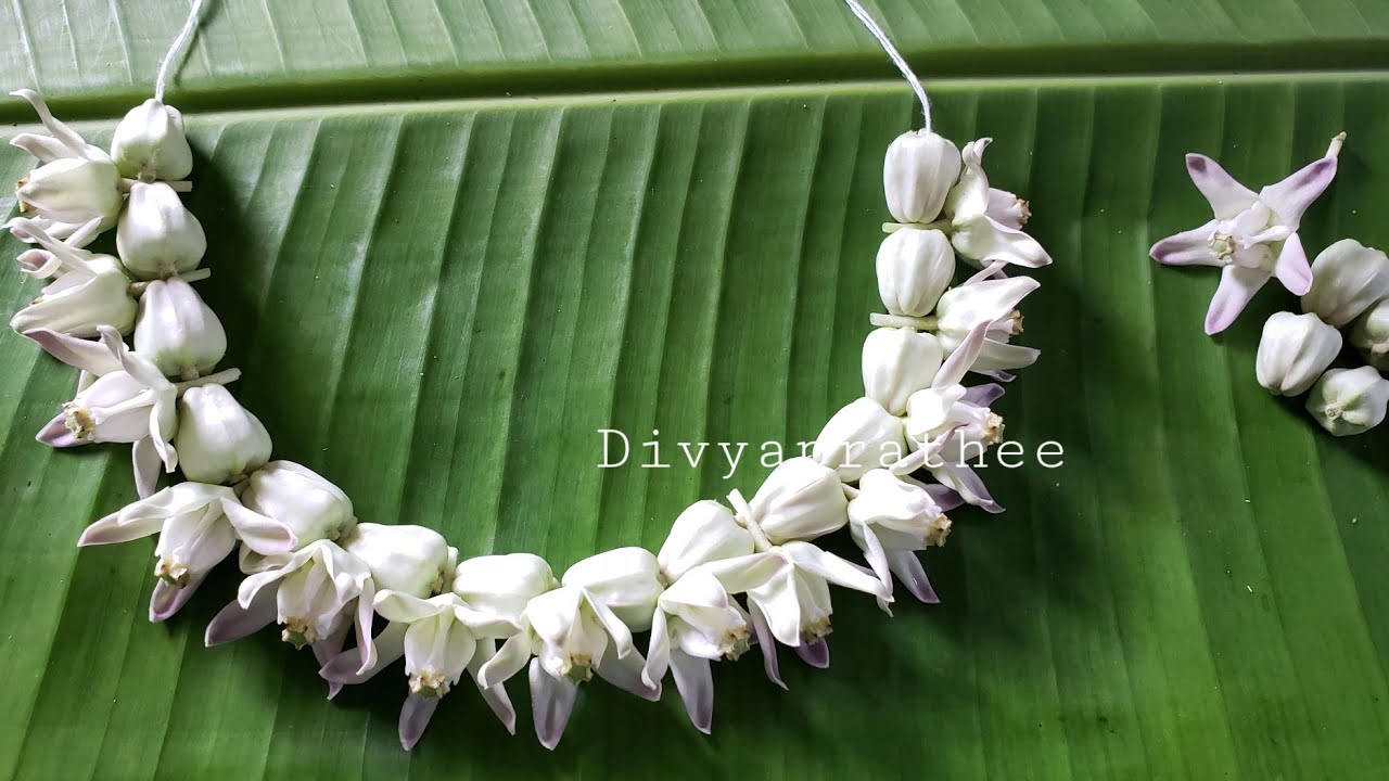 Quick flower garland for  Ganesha/erukkam poo malai/ganapathi flower decoration/flower mala for god