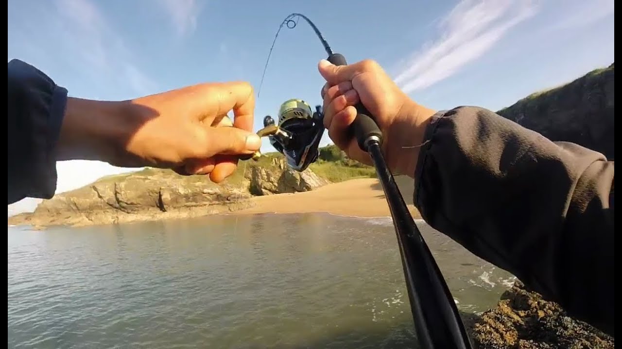Pêche du bar aux leurres souples début juin 2018