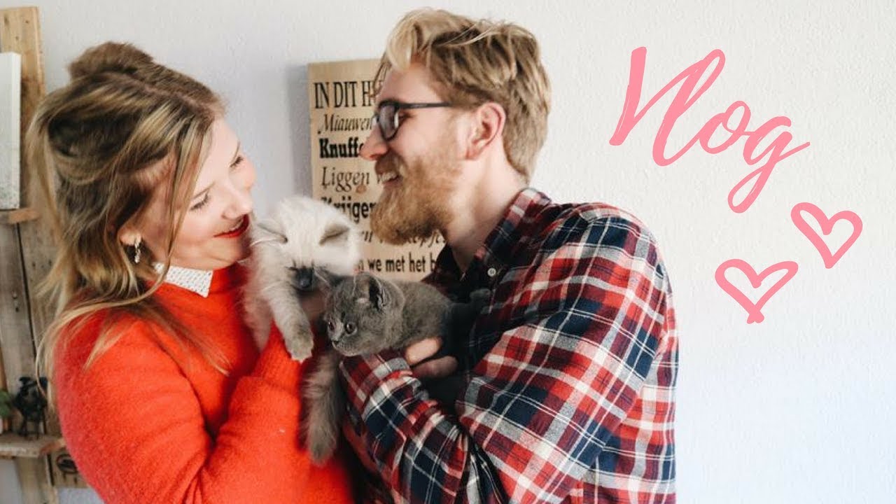 VLOG |  KITTENS OPHALEN & HUNKEMÖLLER FABRIEKSVERKOOP IN EINDHOVEN! #17