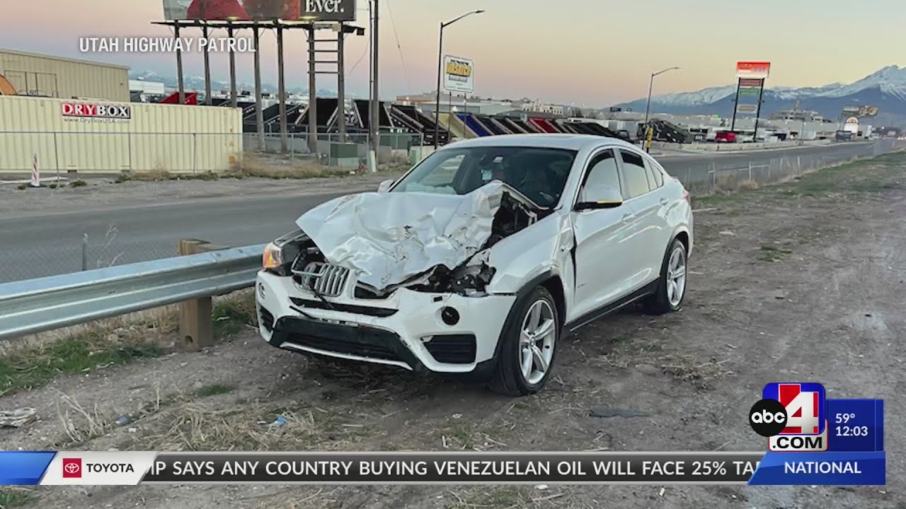 Cows on I-15 cause multi-vehicle crash early Tuesday morning