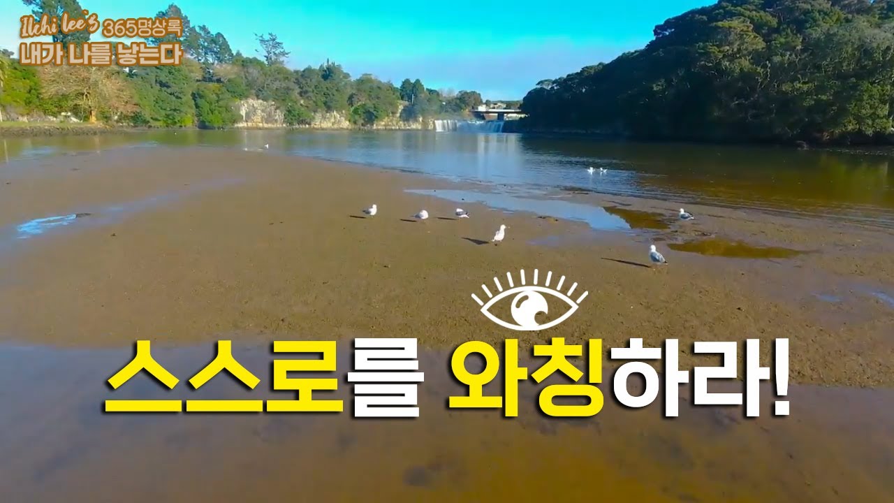 스스로를 와칭하라 | 내면의 정화와 성장 | 일지 이승헌의 365명상록 '내가 나를 낳는다' EP.6