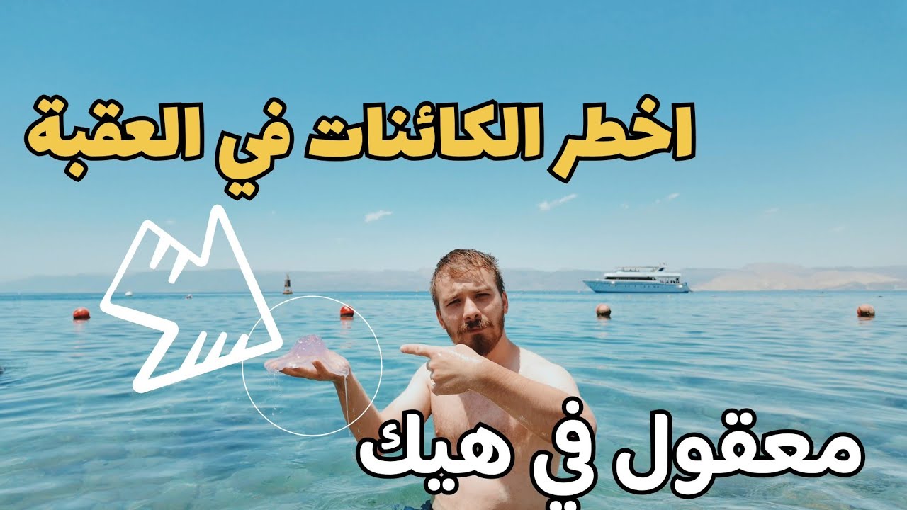 جوله في مناطق الاردن العقبة #travel #اشتراك
