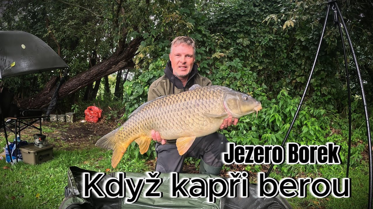 Jezero Borek - Když kapři berou