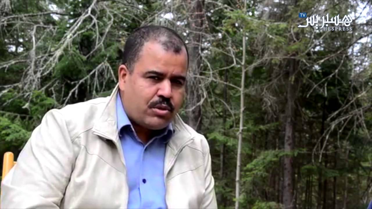 مغاربة كندا وغلاء تذاكر السفر