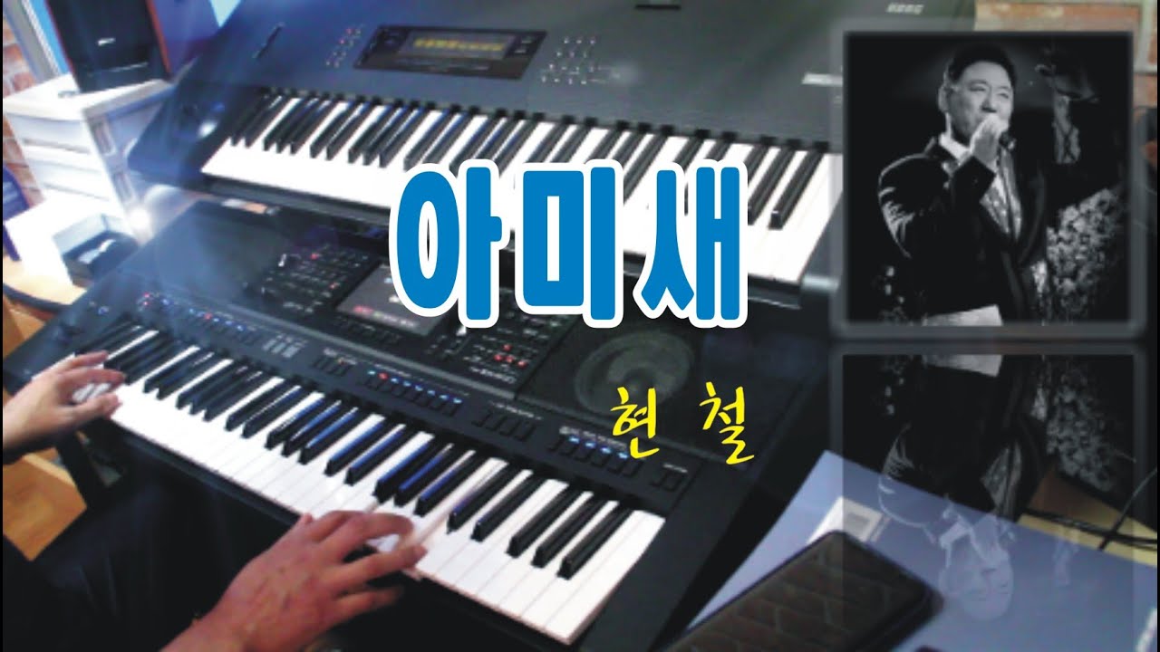 아미새 | 현  철