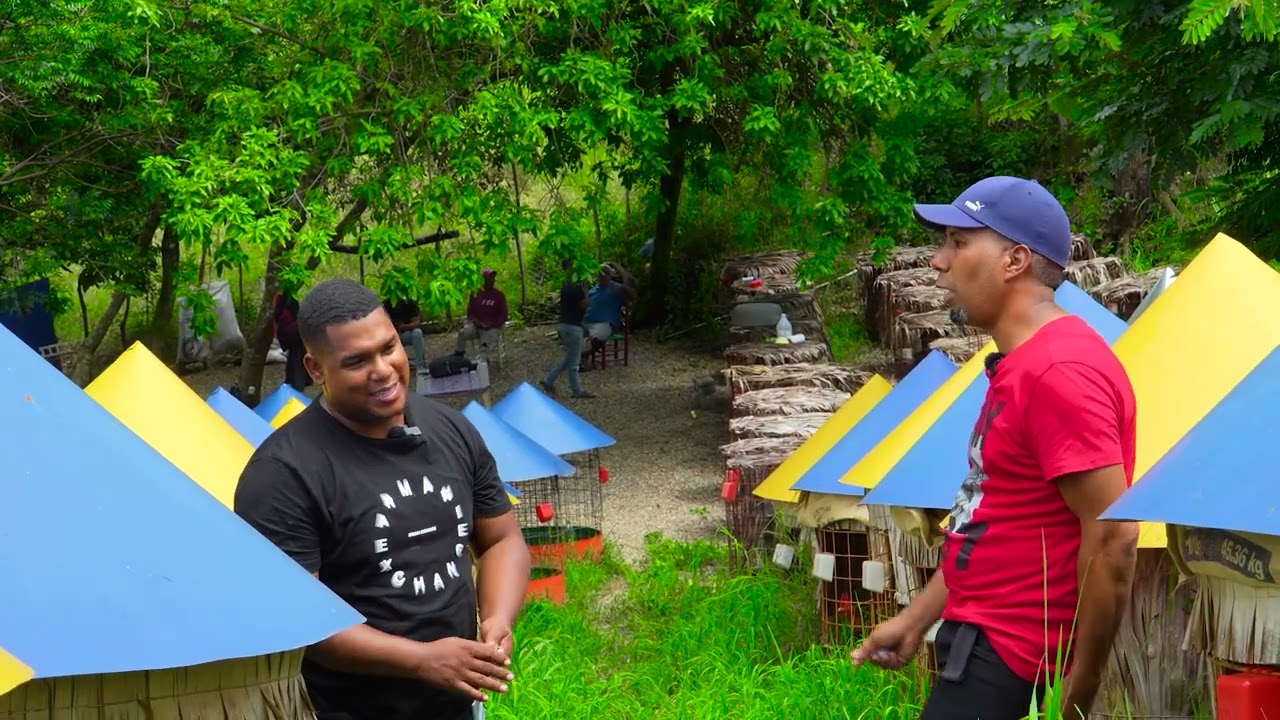 RECORRIDO POR LA GALLERIA DE ENDRY CHECO EL RUBIO SAN JOSÉ DE LA MATAS DEJEN SUS COMENTARIO.