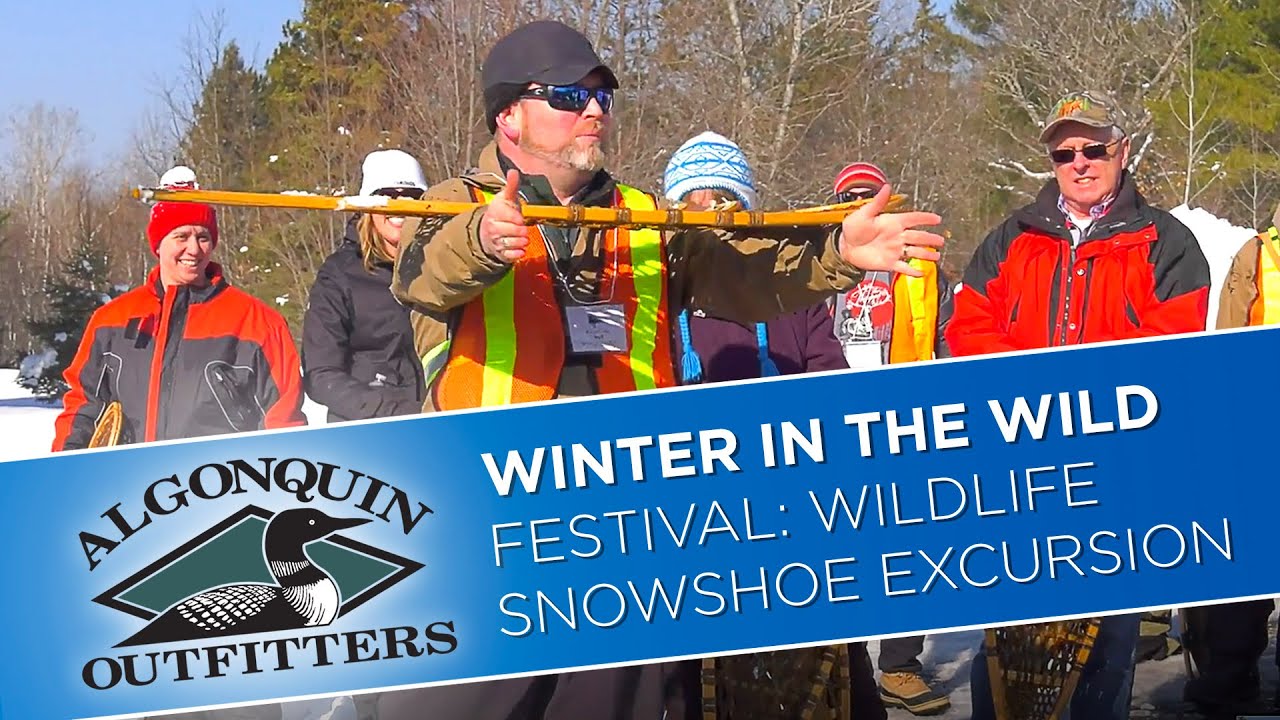 Algonquin Park Winter in the Wild Festival - Wildlife Snowshoe Excursion