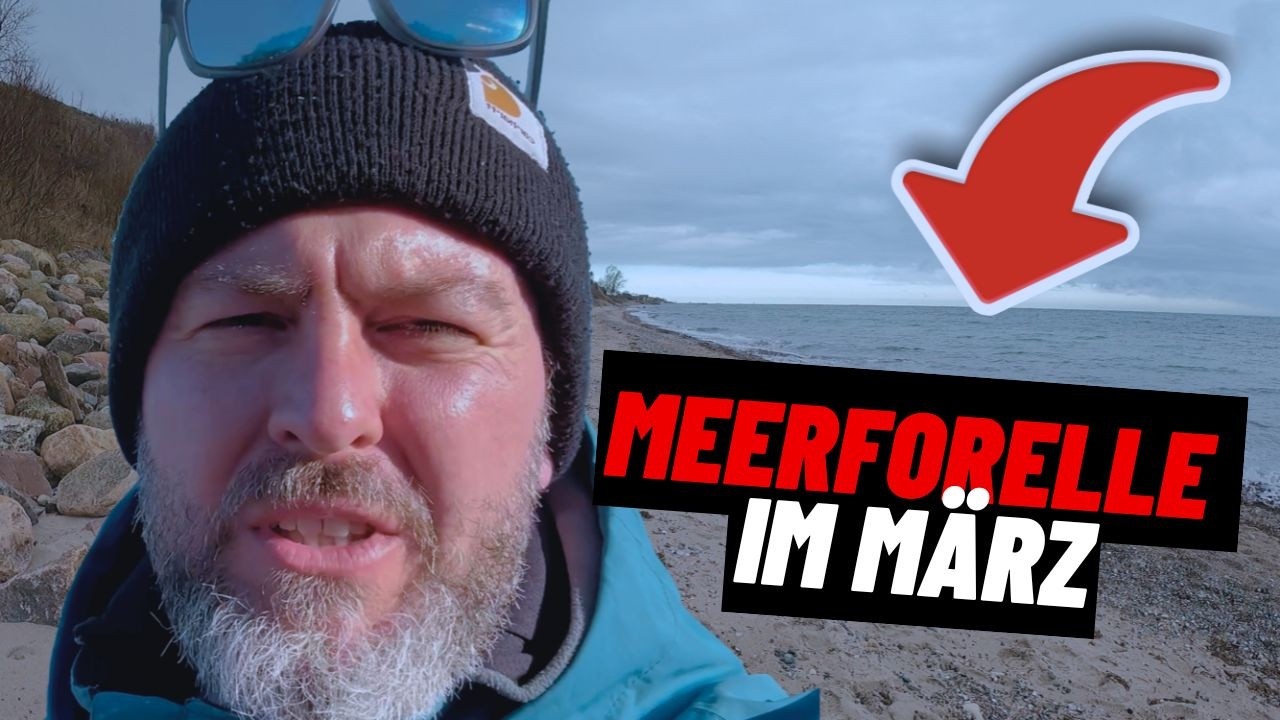 Meerforelle im M&auml;rz: So finde ich jetzt meine Spots an der K&uuml;ste