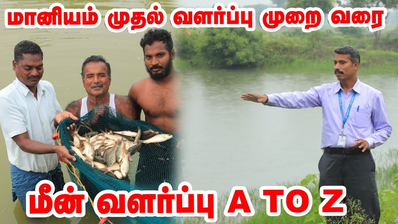 மீன் வளர்ப்பில் லாபம் ஈட்டுவது எப்படி?  A To Z தகவல்கள் | #fishfarming | #organicfarming