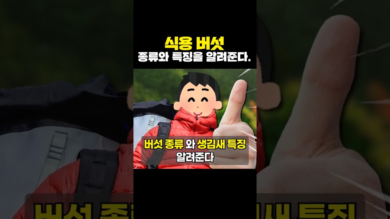 식용 버섯 종류와 특징을 알려준다.