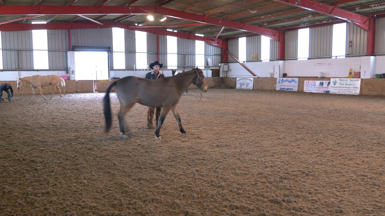 Joe Midgley Horsemanship Groundwork Clinic Teaser
