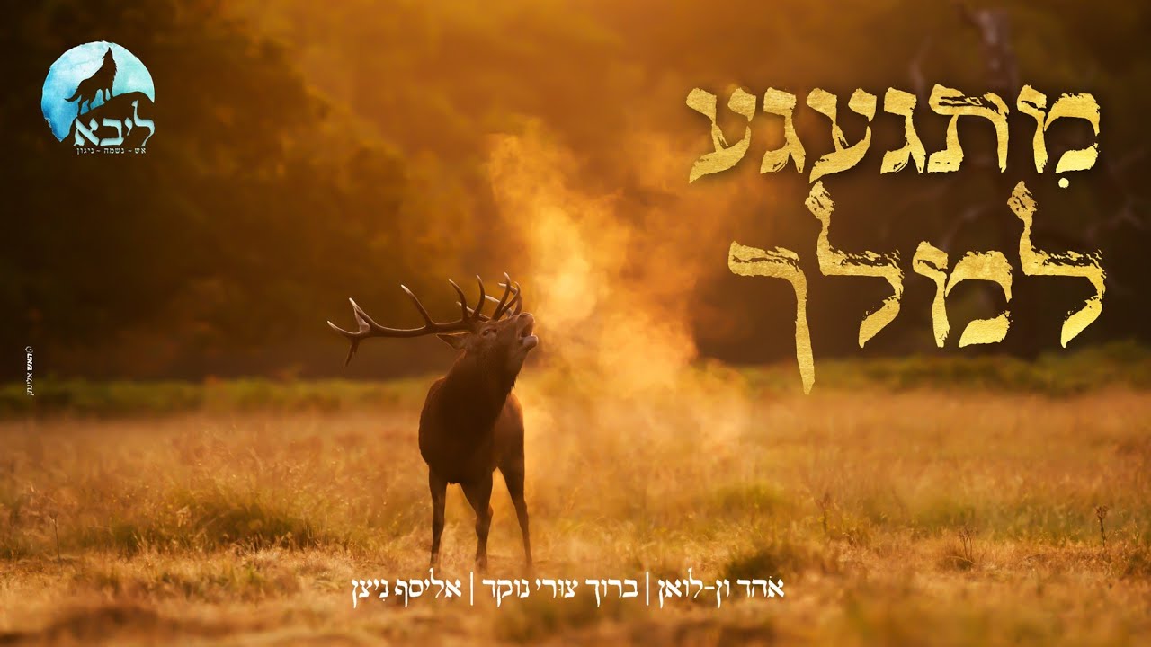 מתגעגע למלך | אהד ון לואן ברוך צורי נוקד ואליסף ניצן ב-'ליבא'