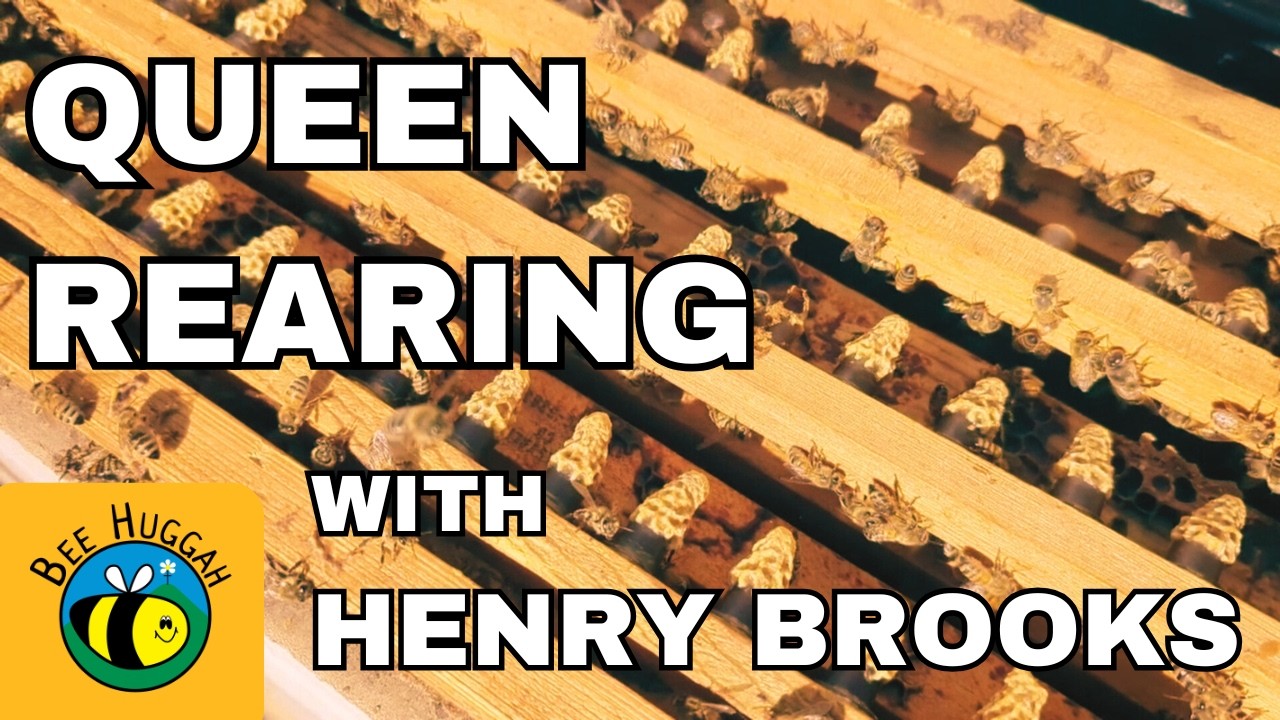 How Quality Queen Honeybees are Raised with Henry Brooks