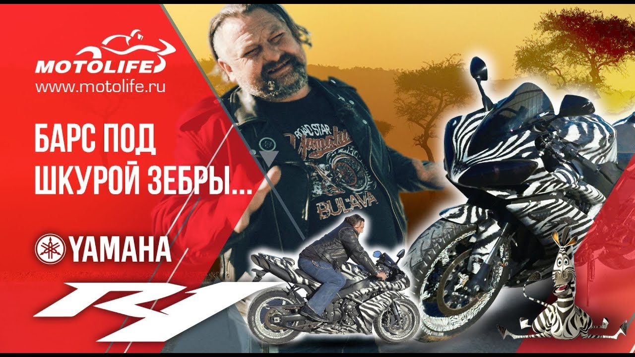 Yamaha YZF-R1 [Барс под шкурой зебры] Точно не обзор