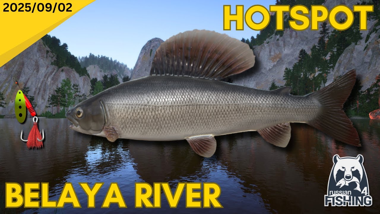 Spinning for Grayling - Russian fishing 4