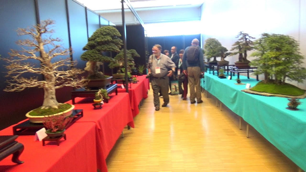 WORLD BONSAÏ  CONVENTION - B.C.I. - MULHOUSE  2018