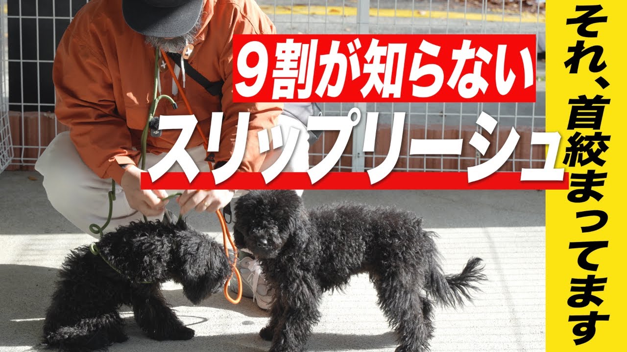 それ逆です。首を痛めるスリップリーシュの使い方をしてしまってるかもしれません