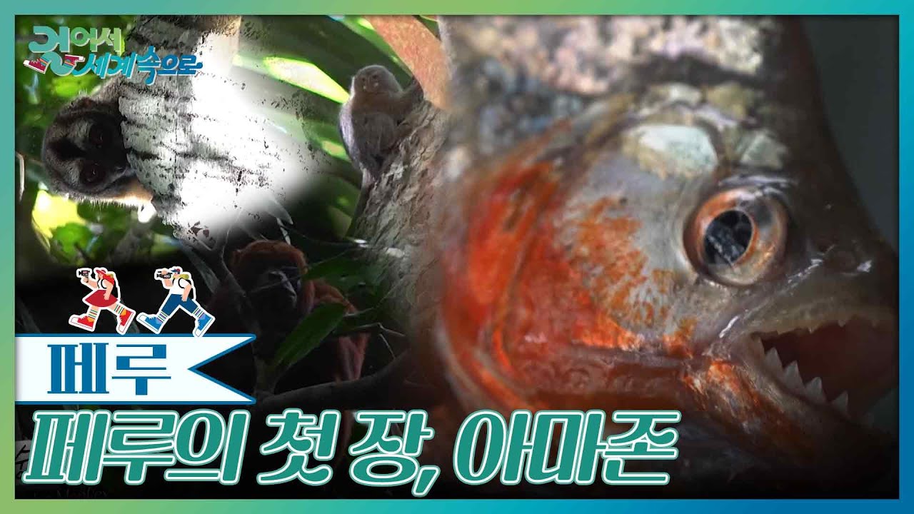 페루의 첫 장, 아마존 [걸어서 세계속으로] | KBS 260117 방송