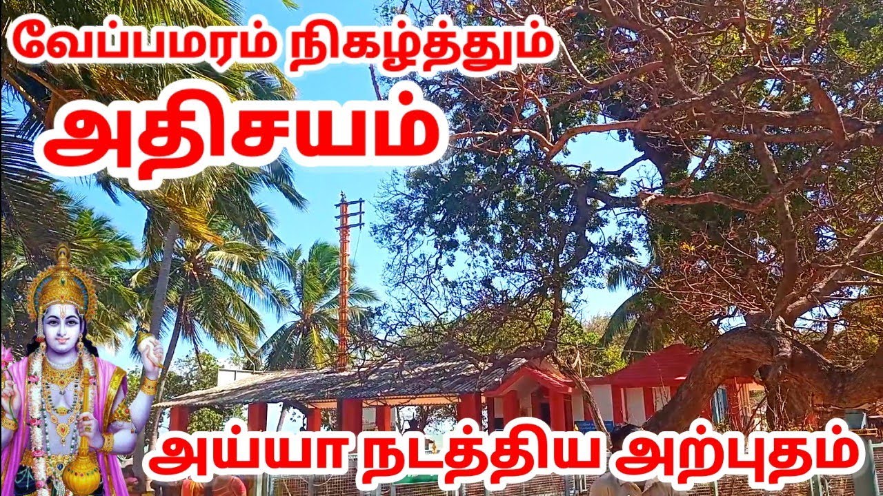 ஐந்துதலை நாகம்போல் காட்சிதந்து வேப்பமரம் நடத்தும் அதிசயம்|அய்யா நடத்திக்காட்டிய அதிசய காண்போமா வாங்க