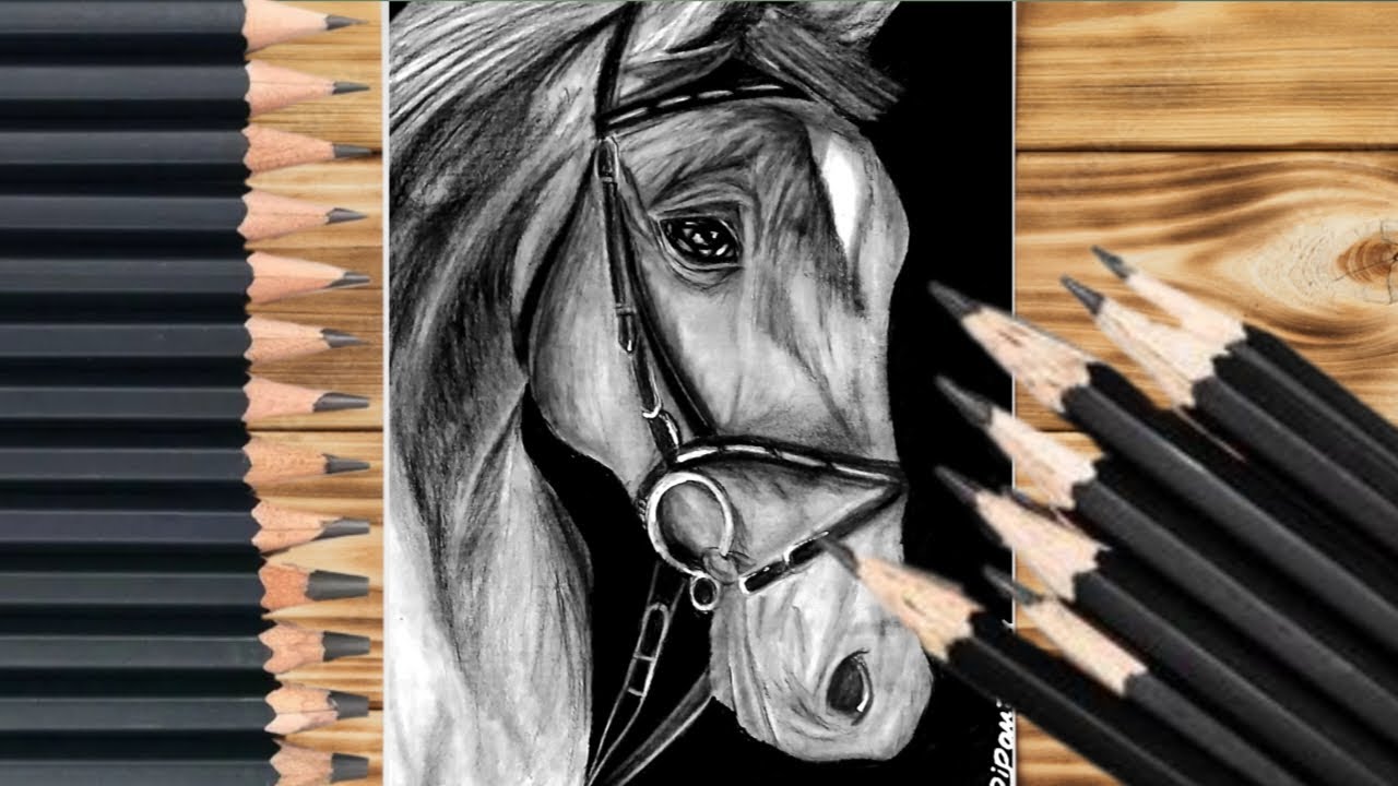 Realistic Horse Portrait with Charcoal Pencil