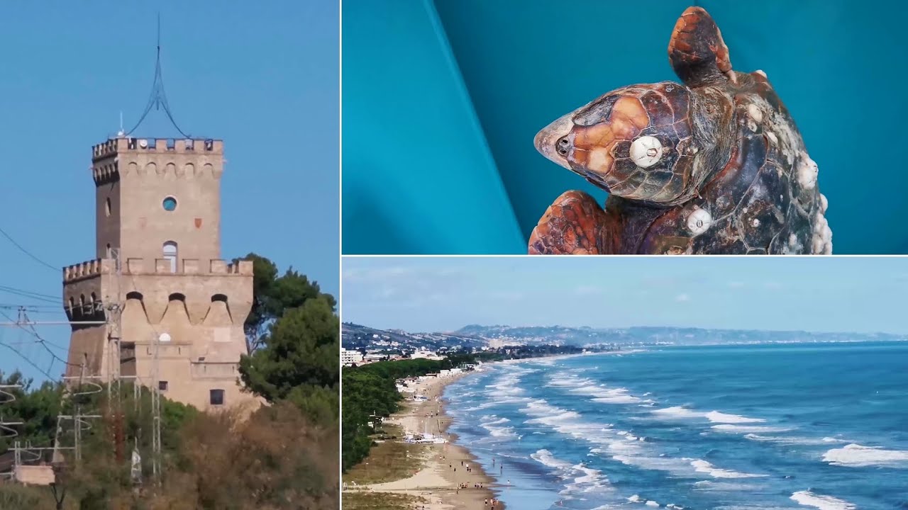 Torre del Cerrano, visita al Museo Marittimo dell'Area Marina Protetta di Pineto