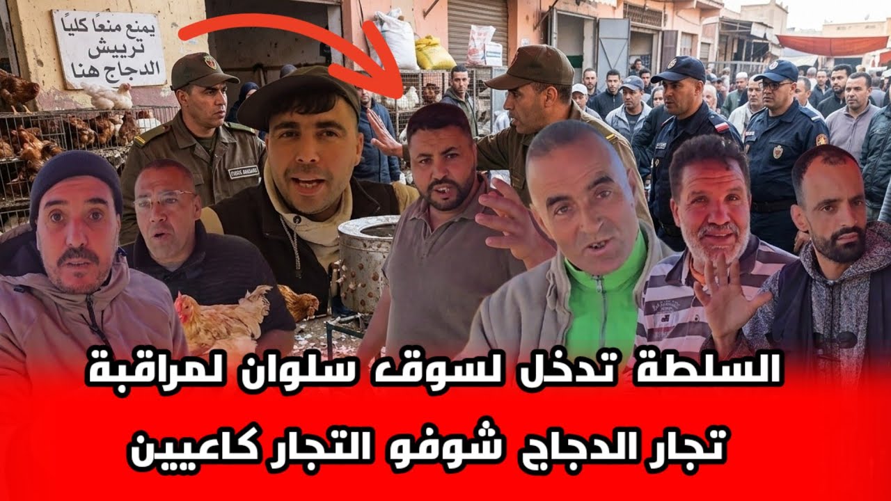 السلطات تدخل لسوق سلوان لمراقبة تجار الدجاج شوفو التجار كاعيين شكون غايشري علينا الدجاج حي 