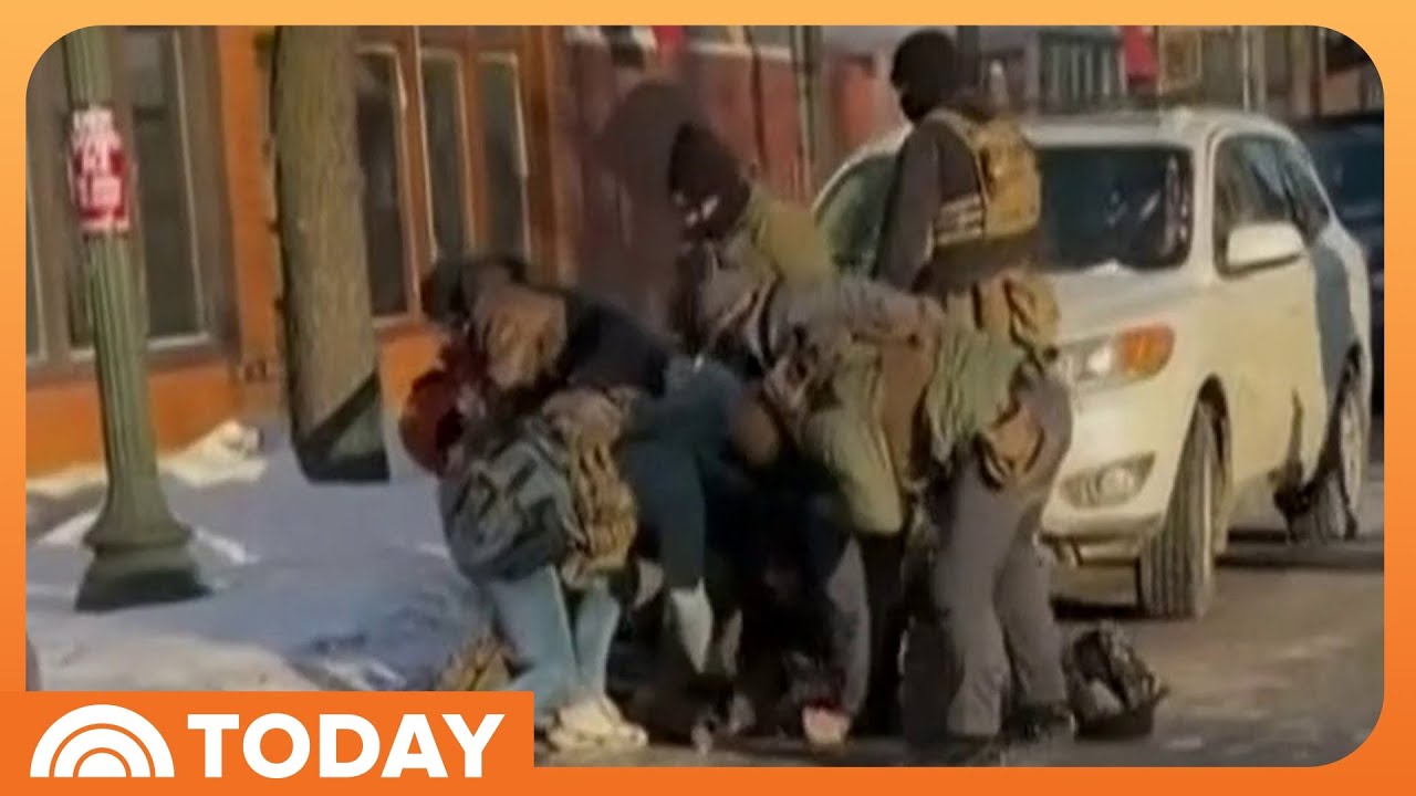 New Video Shows Alex Pretti Clash With ICE Days Before Death