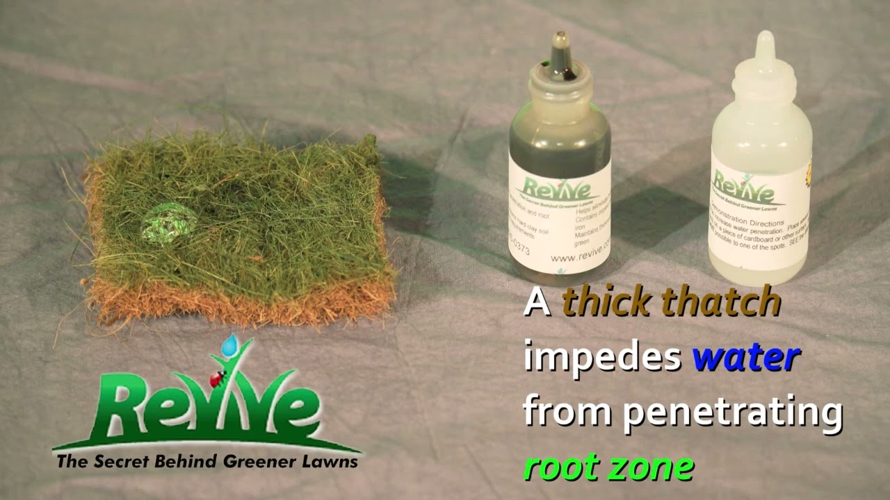 Watch How Revive Works On Your Lawn