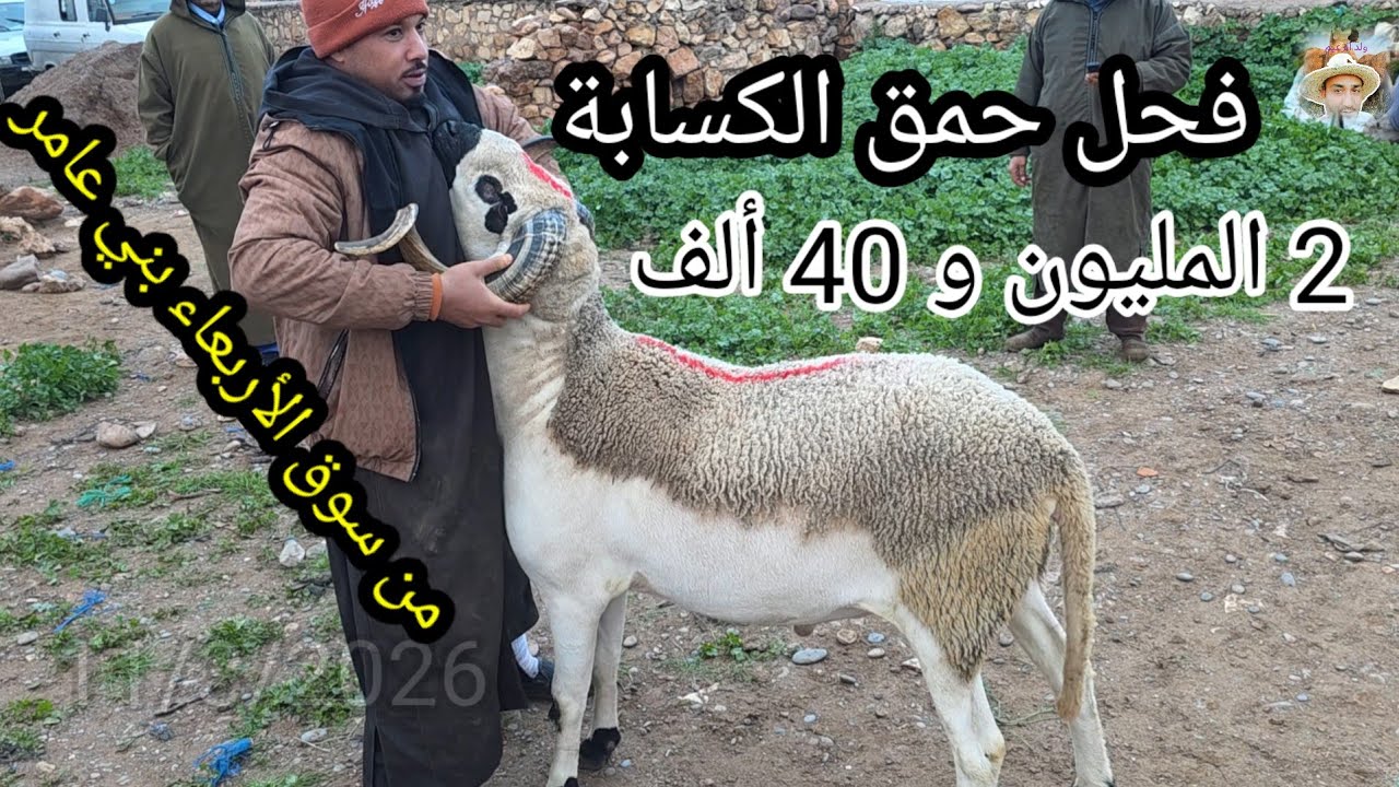 سوق الأربعاء بني عامر بتاريخ 11/3/2026 أجي تسوق وتشوف أثمنة 🐏 🐑 🐏 #أخبار_السوق 